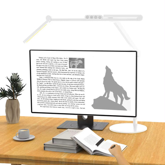 LED Desk Lamp Round Base